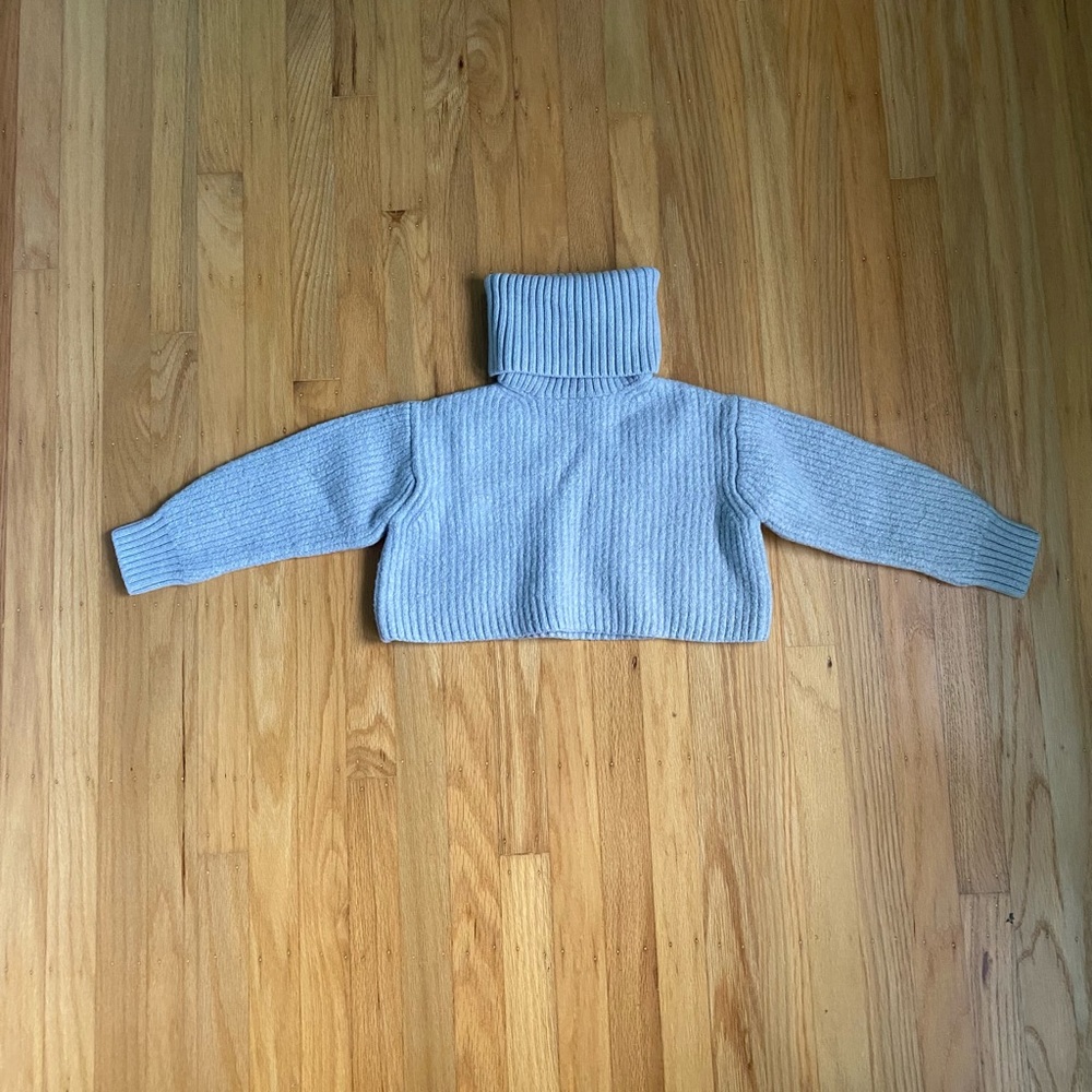 Aritzia Babaton Wool Cropped Turtleneck Knit